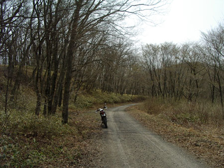 八溝真名畑線稜線