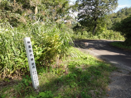 田代林道終点