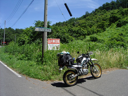 しだれ栗森林公園