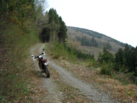 大久保林道ゲート奥