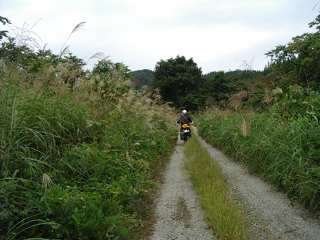 権平峠付近アｄ－ト