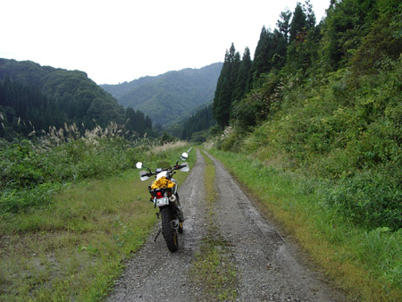 小屋川沿いダート