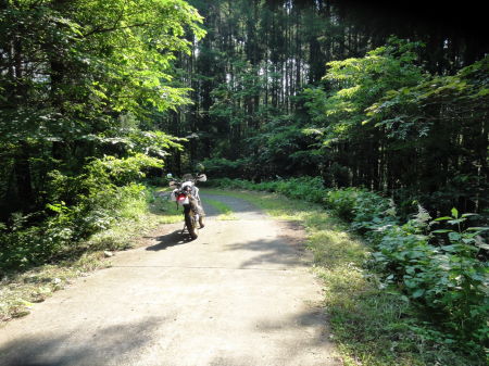 柴津林道入り口