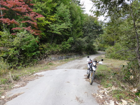 七ケ岳林道終点