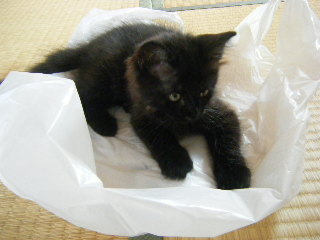 たのしいね～☆