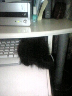 お尻見えてるよ！！