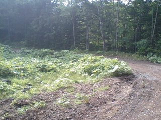 PA0_0583.JPG