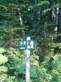 キキン岳林道・恩根越林道２