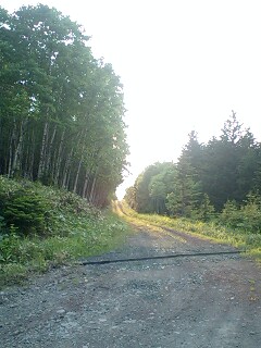 キキン岳林道・恩根越林道４