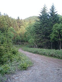 キキン岳林道・恩根越林道６