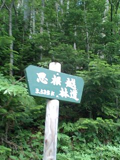 キキン岳林道・恩根越林道８