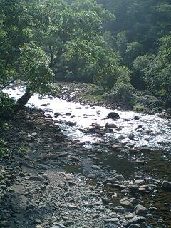 PA0_0436.JPG