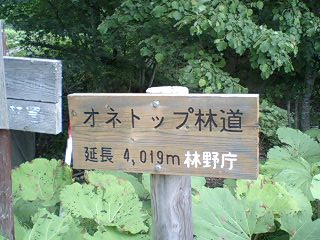 オネトップ林道５