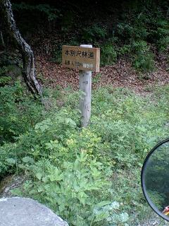 オネトップ林道９