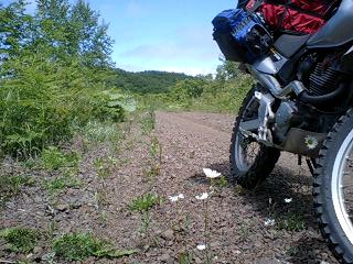 PA0_0127.JPG