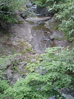 オネトップ林道１０