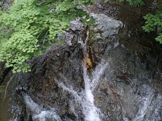 オネトップ林道１１