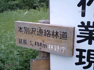 オネトップ林道１６