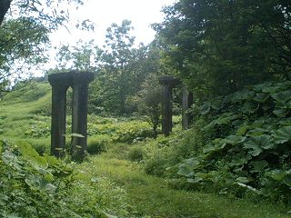 PA0_0592.JPG