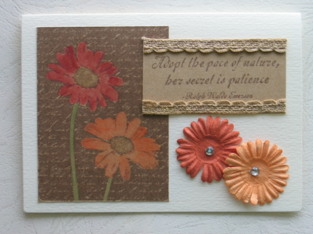 Viva La Flora Vol 2-1.JPG