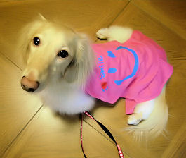 あのん お気に入りのチュニック♪