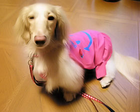 あのん お気に入りのチュニックでウインク♪