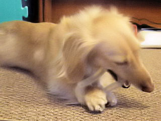 あのん おもちゃでカジカジ♪2