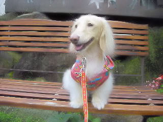 ベンチの上で♪