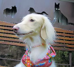 ベンチの上で♪（アップ）