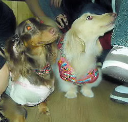 あのん お友達と♪