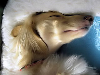 あのんネンネ♪（気持ちイイ～）