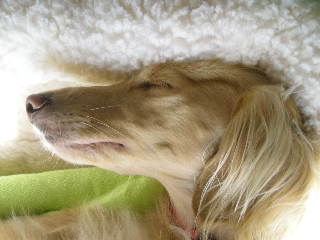 あのんキレイな寝顔♪