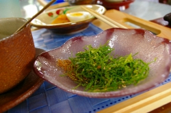 IMGP9508.jpg