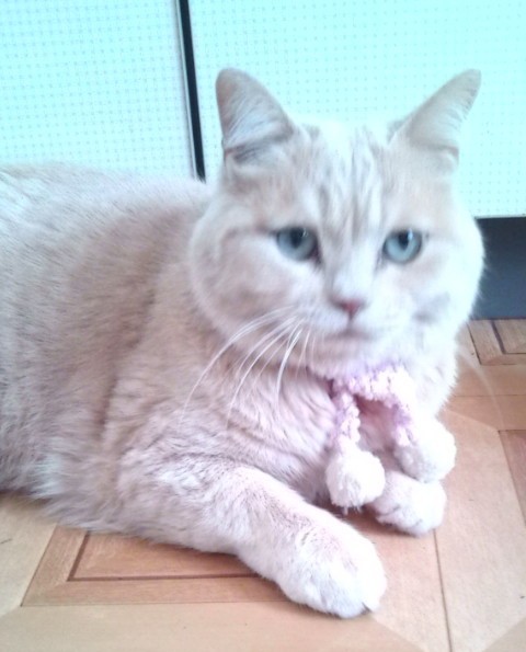 20100110143009.jpg