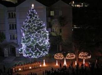 松山東雲女子短大のクリスマスツリー