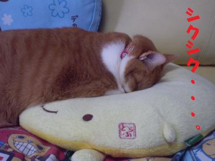 20090501095512.jpg