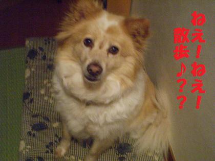 20090615220654.jpg