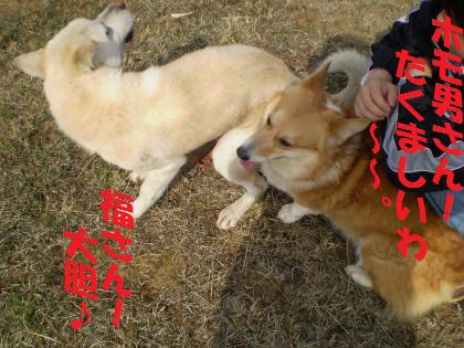 20090323162542.jpg