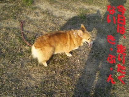 20090326184530.jpg