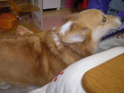 20090306224144.jpg