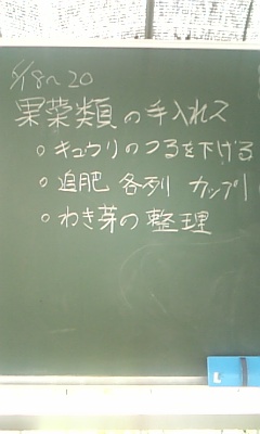 100622_果菜類の手入れ２.jpg