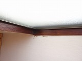 P4270101.jpg