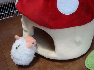 トメちゃんと！１ (14).jpg