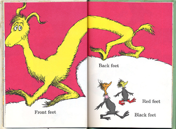 foot book 03