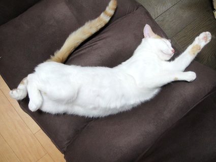 バロン
