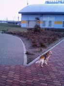 3sanpo