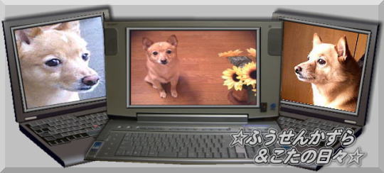 ひろまま作こた