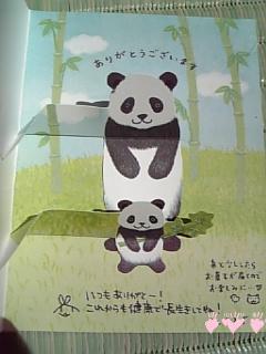 panda