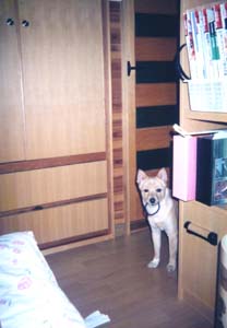 tetudai1