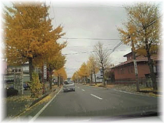 ityou11